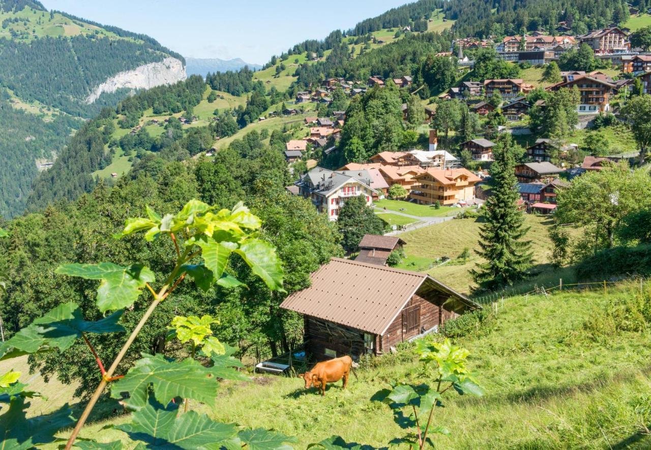 Panoramapark Soleil Chalet E Wengen Exterior foto